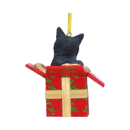 Nemesis Now Present Cat Hanging Ornament - Lisa Parker