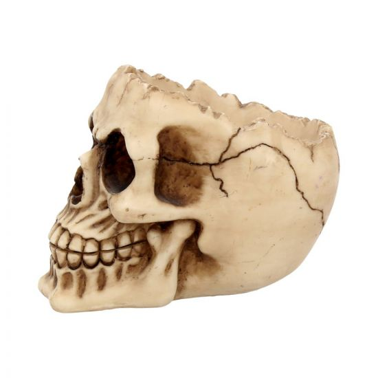 Lobo Skull Ornament 14.5cm