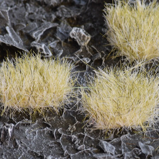 Gamers Grass tufts.Winter tufts with green and brown shades at the bottom leading up to white at the top