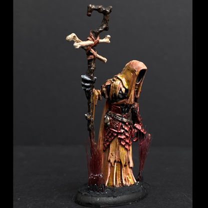 Hand painted necromancer from the Reaper Miniatures range. Mrs MLG has hand painted this undead miniature that has armour on one arm and bandages on the other. It also has long tufts on the base.  