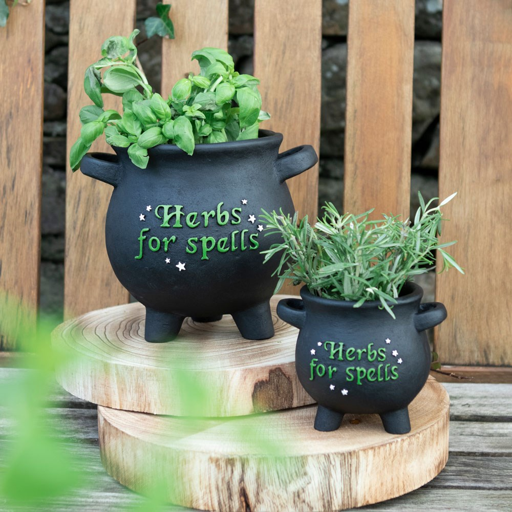 Herbs For Spells Cauldron Plant Pot - Large