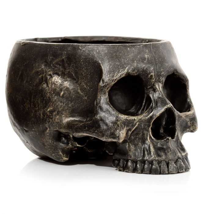 Skull Plant Pot