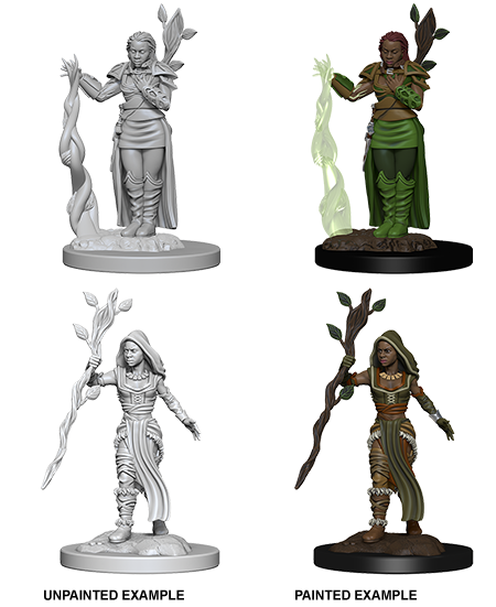 D&D Nolzur’s Marvelous Minis...