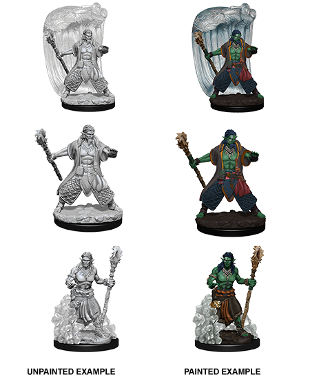 WizKids D&D Nolzur's Marvelous Miniatures (Wave 5) - Water Genasi Male Druid