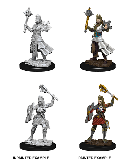 WizKids Human Cleric 73671 -D&D Nolzur's Marvelous miniatures