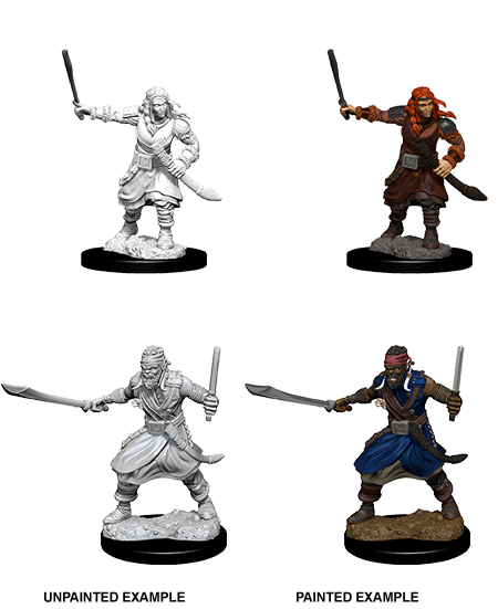 WizKids Bandits 73677 -D&D N...