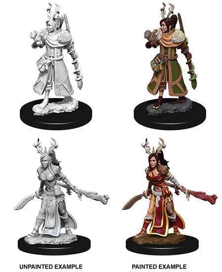 WizKids: Human Druid 73701 D&D Nolzur's Marvelous Miniatures - mighty lancer games