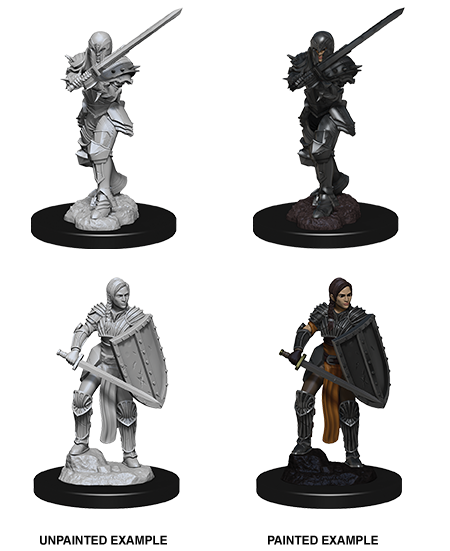 WizKids: Human Fighter 73705 - D&D Nolzur's Marvelous Miniatures