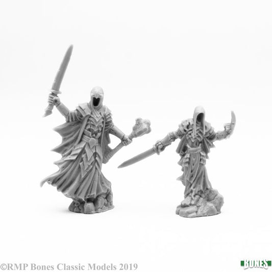 77642 Wraith Lord and Bodyguard ...