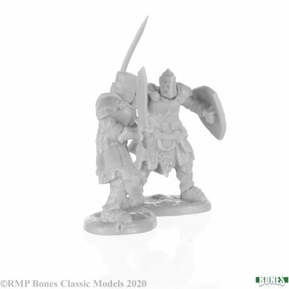 77676 - KNIGHT HEROES (DHB)