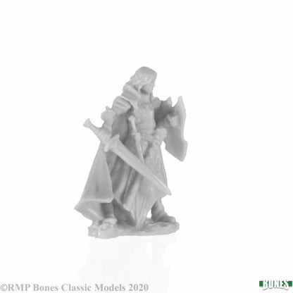 77743- Alandin, Elf Paladin (Reaper Bones)