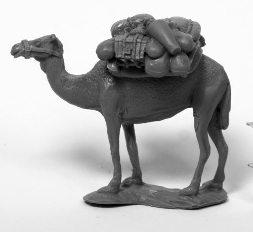 80075 - Camel w/Pack (Chronoscop...