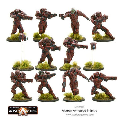 Painted Algoryn Armoured Infantry Examples