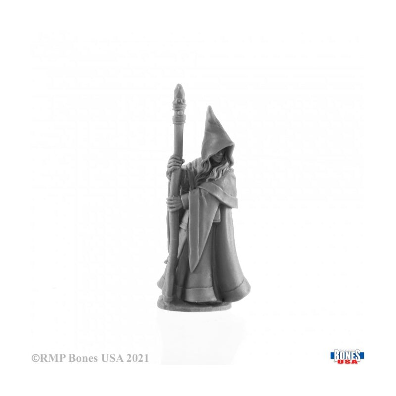 Anirion, Elf Wizard - Reaper Bones Usa Mini