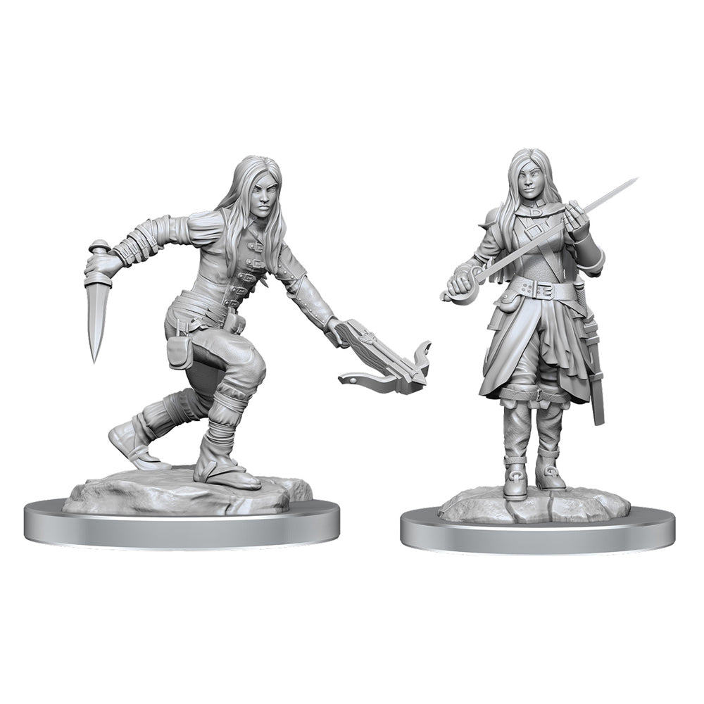 Half-Elf Rogue Female Nolzur's Marvellous Minis