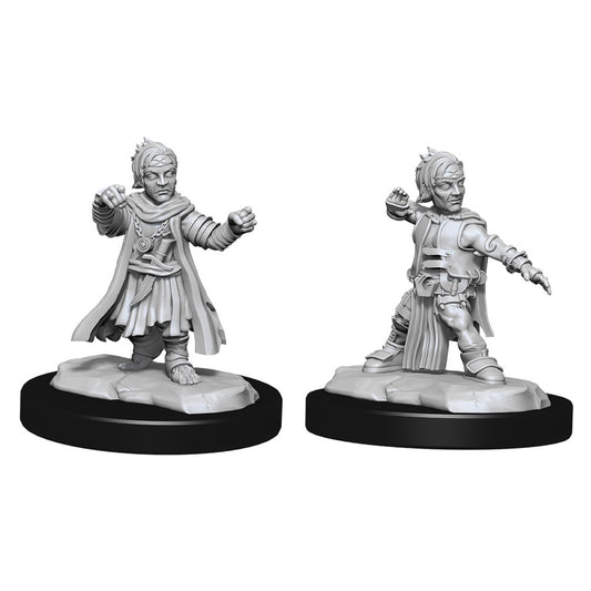 Halfling Monk Male Pathfinder De...