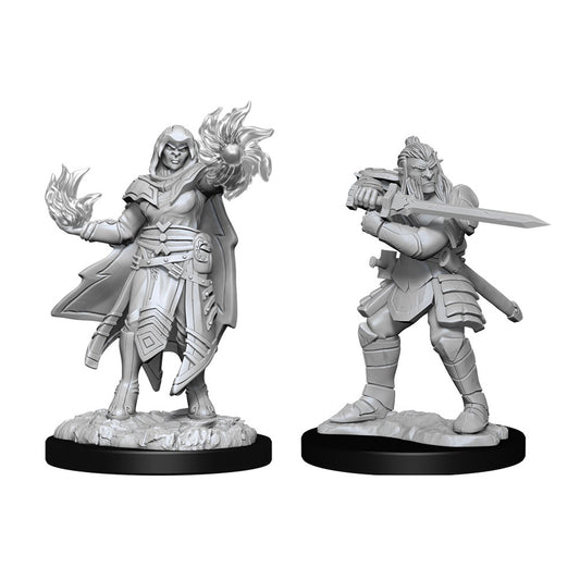 Hobgoblin Fighter & Wizard D...