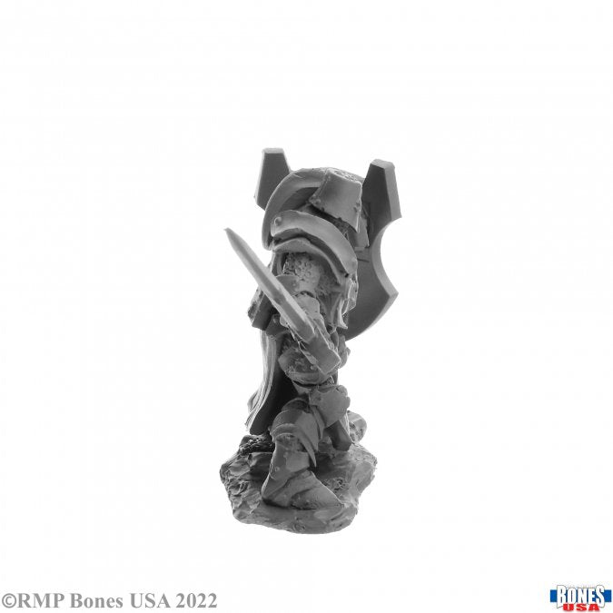 Reaper Human Male Paladin Hard Plastic RPG Mini