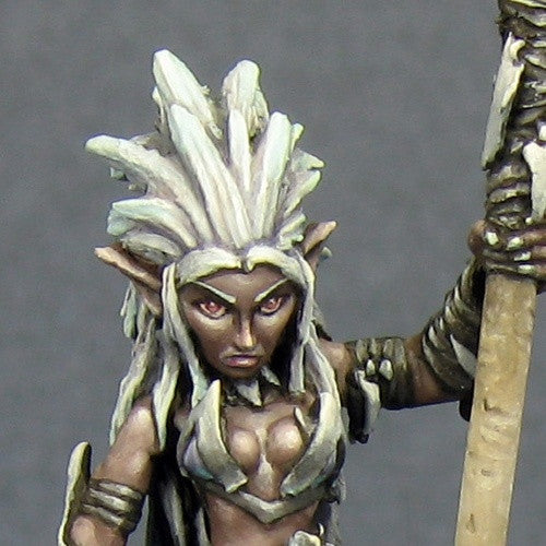 Reaper Warlord 14590 - Liela Mordollwen: www.mightylancergames.co.uk