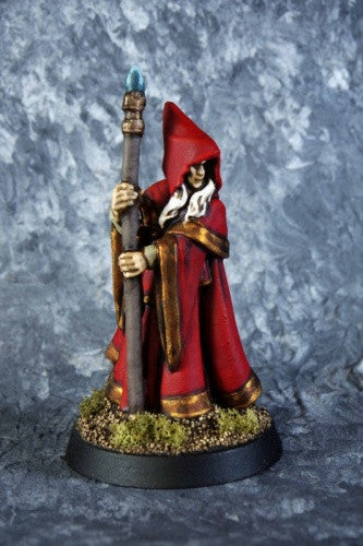 77068: Anirion, Wood Elf Wizard