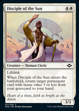 Disciple Of The Sun