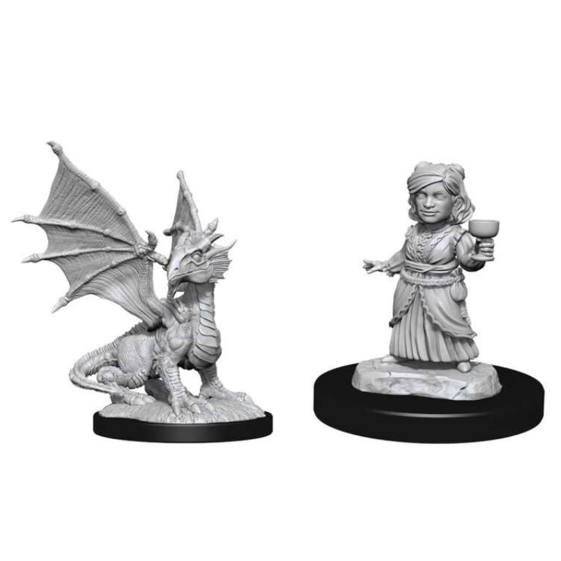 Silver Dragon Wyrmling & Female Halfling 