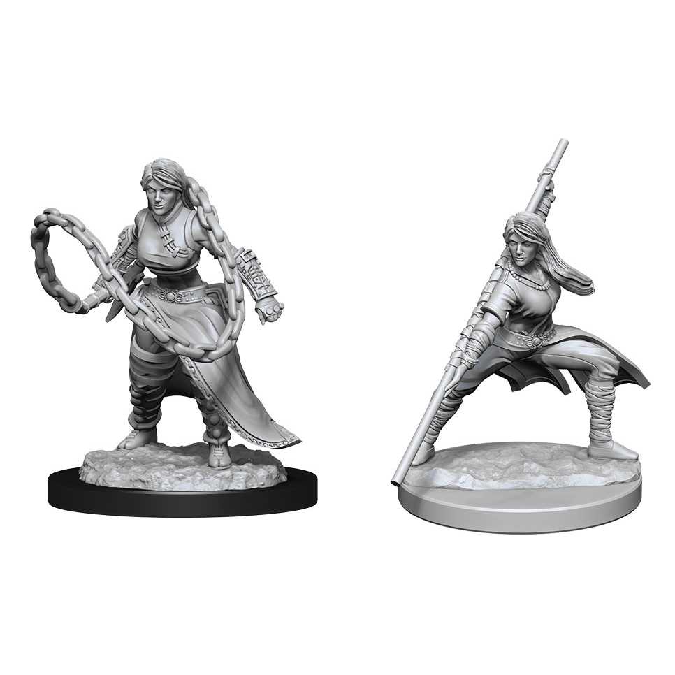 Human Monk Female D&D Nolzur'S Marvelous Unpainted Miniatures