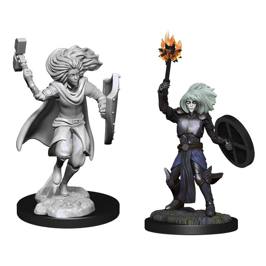 Changeling Cleric D&D Nolzur'S Marvelous Unpainted Miniatures