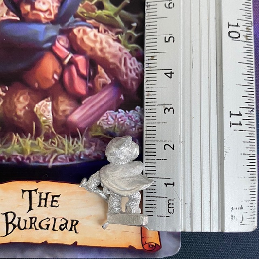 The Burglar (or Bearglar) by Nor...