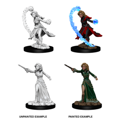 WizKids Pathfinder Deep Cuts Miniatures - Female Human Wizard 73412